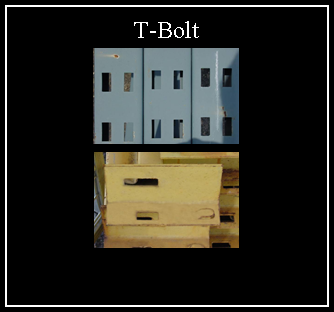 Text Box: T-Bolt￼￼